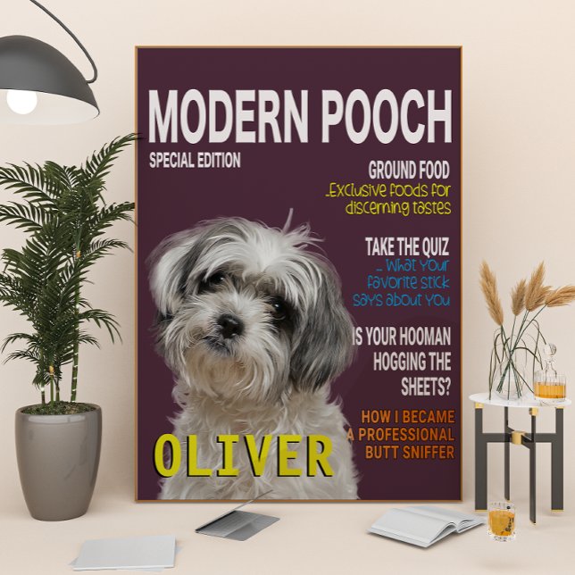 Shih Tzu Parody Magazine Cover Poster (Creator Uploaded)