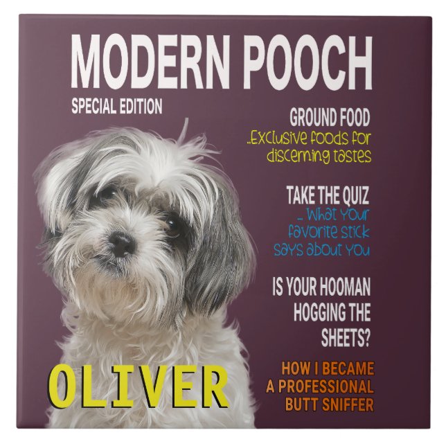 Shih Tzu Parody Magazine Cover  Tile (Front)