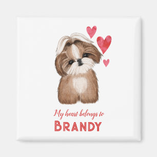 Shih Tzu Personalized My Hearts Belongs To Magnet