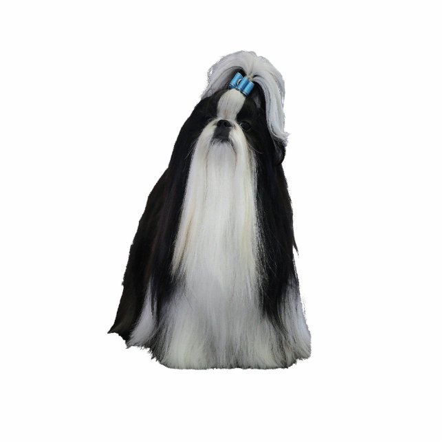 Shih Tzu Photo Sculpture Decoration (Front)