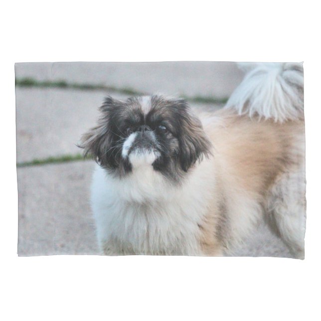 Shih tzu pillowcase (Front)