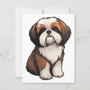 Shih Tzu Postcard