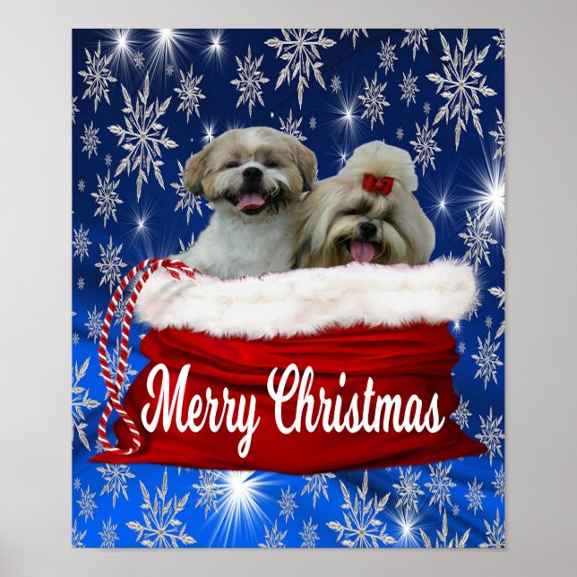 Shih tzu Poster Christmas (Front)