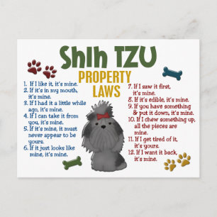 Shih Tzu Property Laws 4 Postcard