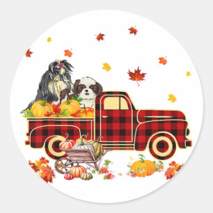 Shih Tzu Pumpkin Truck   Fall Leaf Thanksgiving Classic Round Sticker