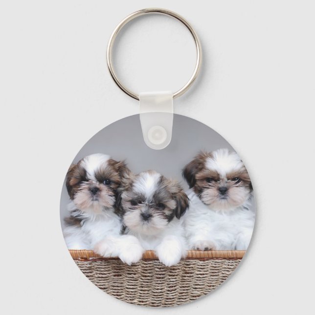 Shih Tzu puppies Key Ring (Front)