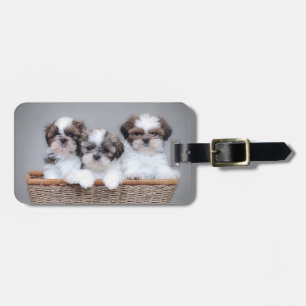 Shih Tzu puppies Luggage Tag
