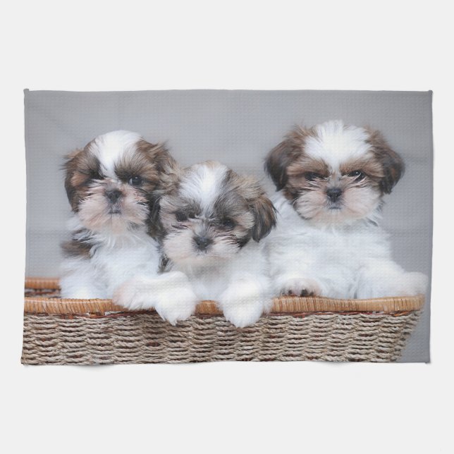 Shih Tzu puppies Tea Towel (Horizontal)