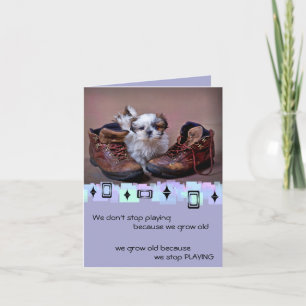 Shih Tzu Puppy Birthday Greetings Card