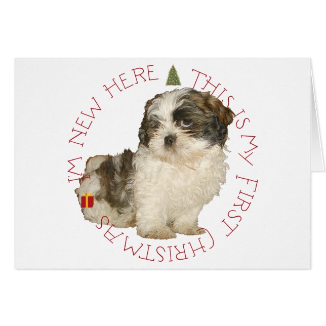 Shih Tzu Puppy First Christmas (Front Horizontal)