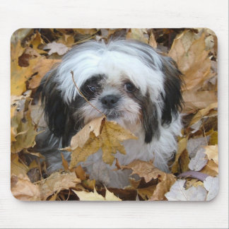 shih-tzu puppy mouse mat