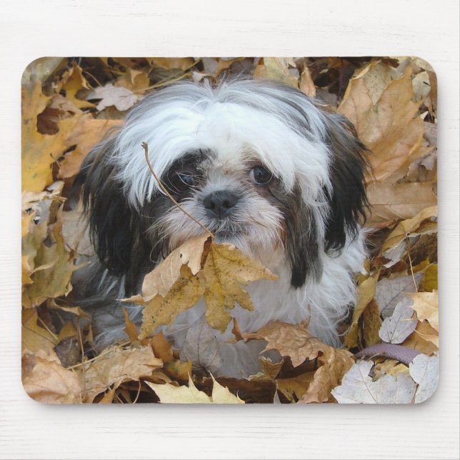 shih-tzu puppy mouse mat (Front)