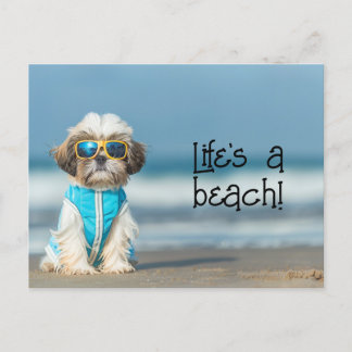 Shih Tzu Puppy wearing sunglasses Postcard