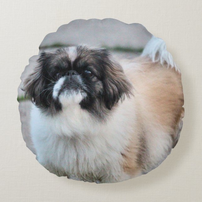 Shih tzu round cushion (Front)