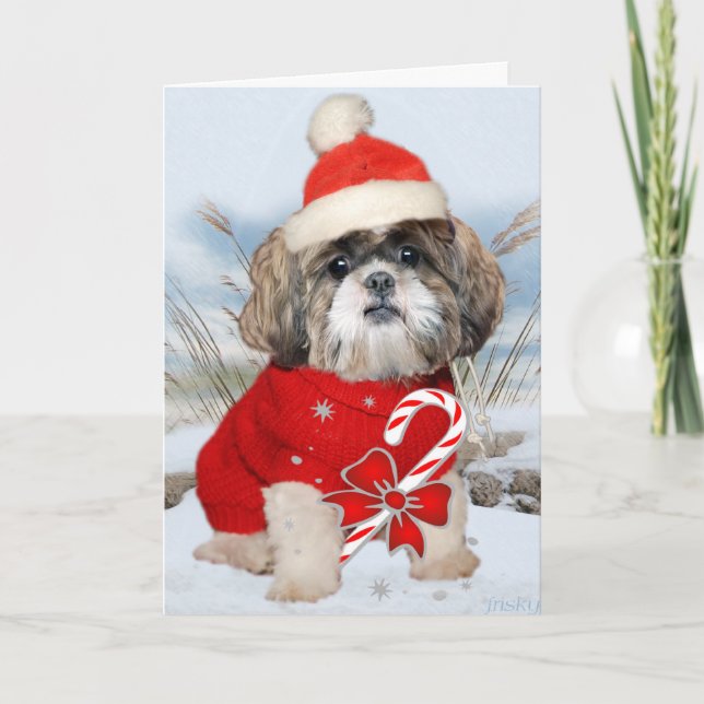 Shih Tzu Santa Paws Cards (Front)