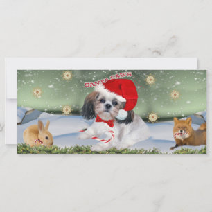 Shih Tzu Santa Paws gifts