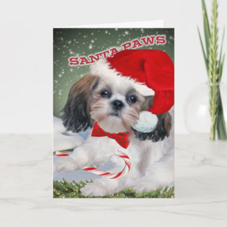 Shih Tzu Santa Paws Holiday Card