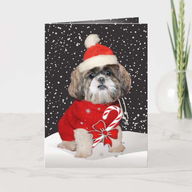 Shih Tzu Santa Season Greetings Holiday Card (Front)