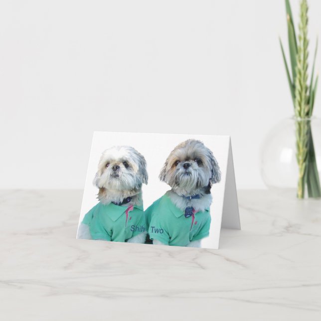 Shih Tzu -Shih Two Greeting Card (Front)