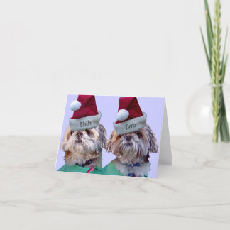 Shih Tzu -Shih Two Holiday Card