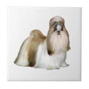 Shih Tzu (Show stand) Tile