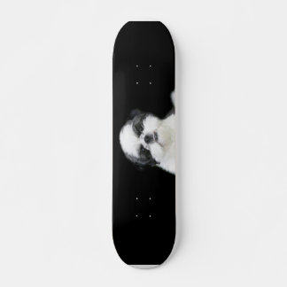 Shih Tzu skateboard