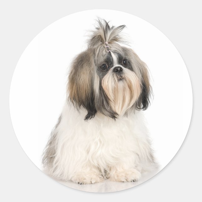 Shih Tzu Sticker (Front)