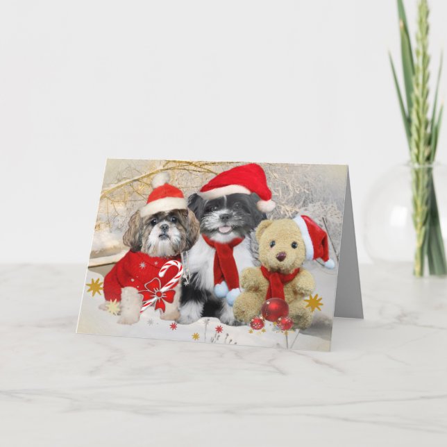 Shih Tzu & Teddy Bear Xmas Card (Front)