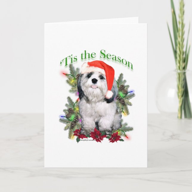 Shih Tzu 'Tis the Season Holiday Card (Front)