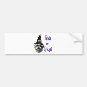 Shih Tzu Trick Bumper Sticker