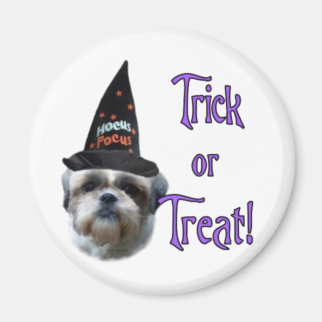 Shih Tzu Trick Magnet (Front)