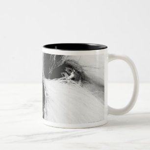 Shih Tzu Two-Tone Coffee Mug