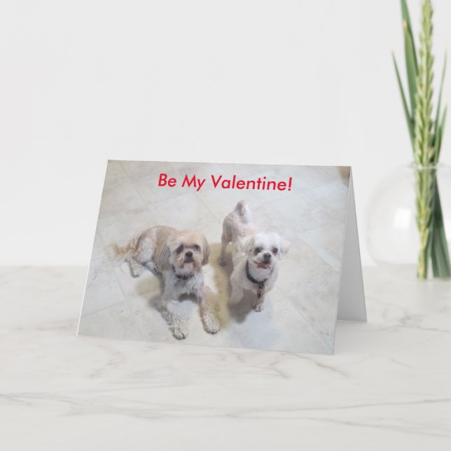 Shih Tzu Valentine Holiday Card (Front)