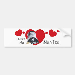 Shih Tzu Valentines Bumper Sticker