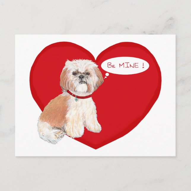 Shih Tzu Valentines Holiday Postcard (Front)
