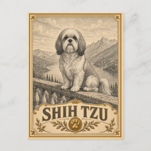 Shih Tzu, Vintage Heritage Dog Postcard