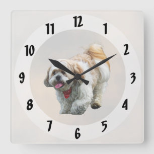 Shih Tzu Walking Square Wall Clock