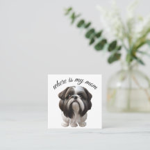 Shih Tzu - Where Is My Mum