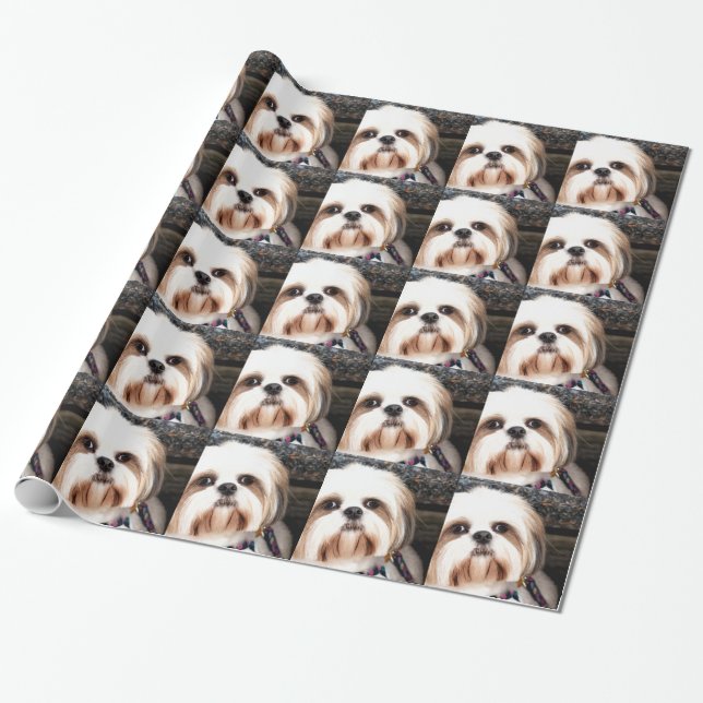 Shih Tzu Wrapping Paper (Unrolled)