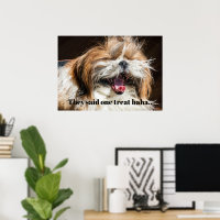 Shih tzu yawning laughing funny text customise