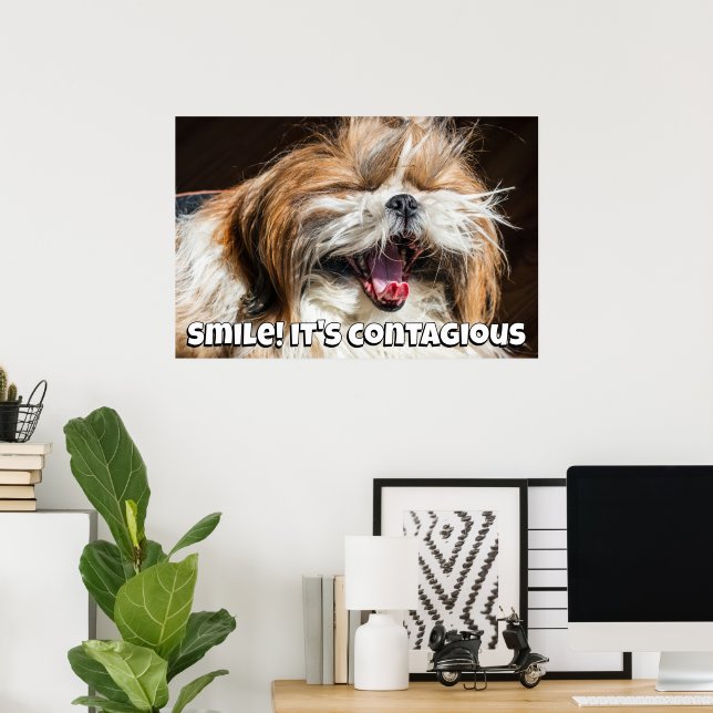 Shih tzu yawning laughing smile text customize poster (Home Office)