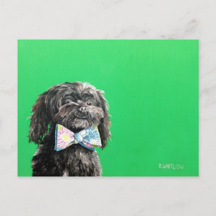 Shih Tzu Yorkie Dog Postcard - Chip
