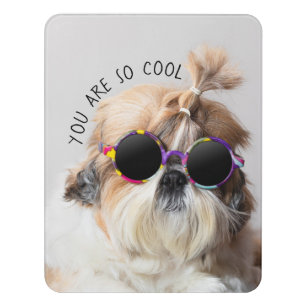 Shih Tzu You are so Cool cute fun Sunglasses Photo Door Sign