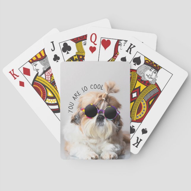 Shih Tzu You are so Cool cute fun Sunglasses Photo Playing Cards (Back)