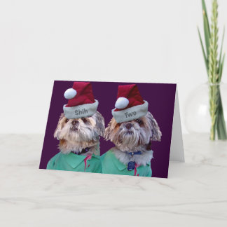 Shih Tzues Shih Two Christmas Greeting Cards