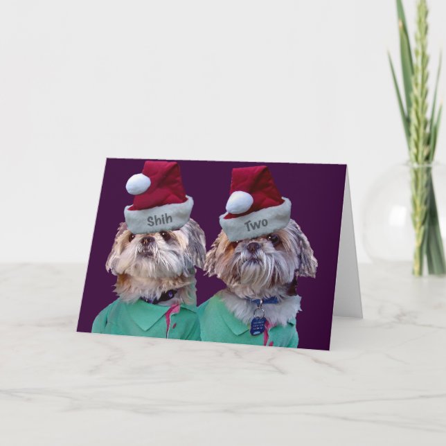 Shih Tzues Shih Two Christmas Greeting Cards (Front)