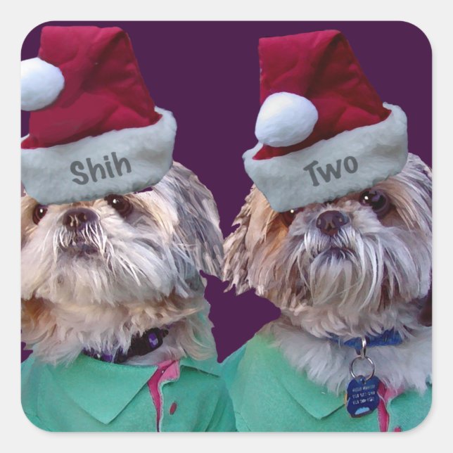 Shih Tzues Shih Two Christmas Sticker (Front)