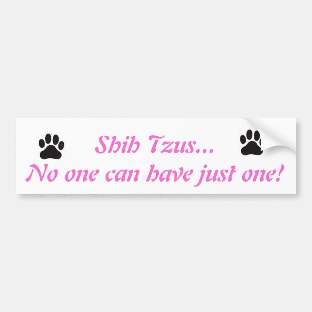 Shih Tzus...No one can have just one! Bumper Stick Sticker (Front)
