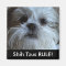 Shih Tzus RULE Refrigerator Magnet