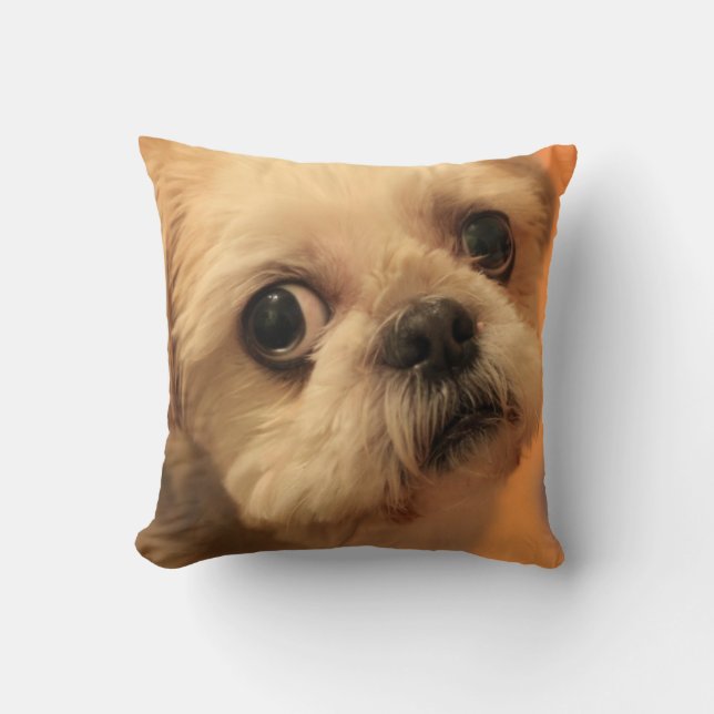 Shihtzu Cushion (Front)